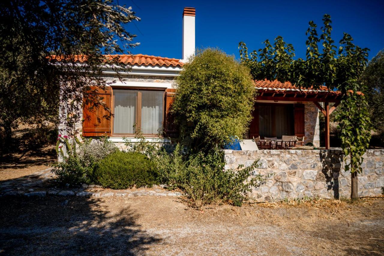 Vila Traditional Architecture Seafront Stone House In 25000Sqm Olive Grove - C Alyfanta Exteriér fotografie