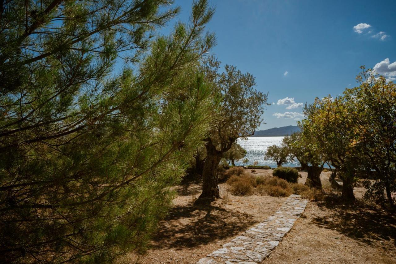 Vila Traditional Architecture Seafront Stone House In 25000Sqm Olive Grove - C Alyfanta Exteriér fotografie