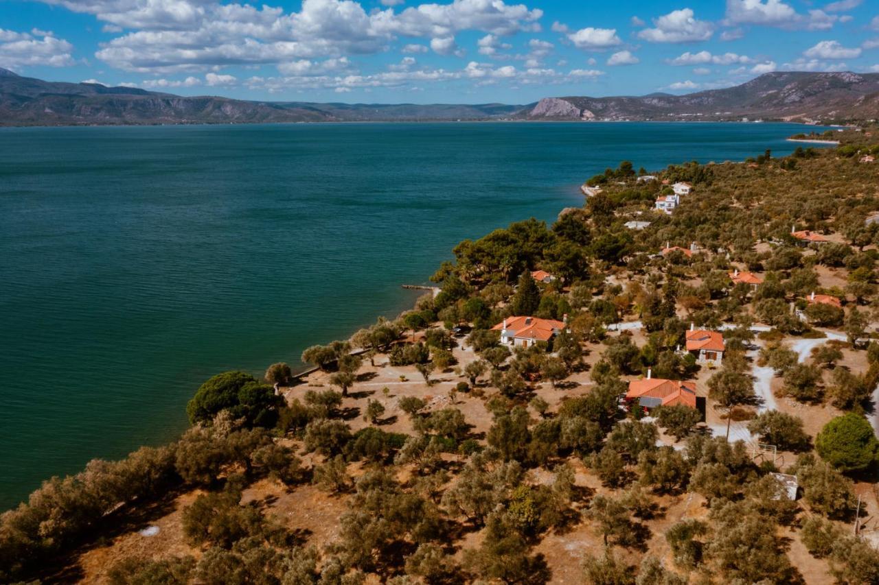 Vila Traditional Architecture Seafront Stone House In 25000Sqm Olive Grove - C Alyfanta Exteriér fotografie